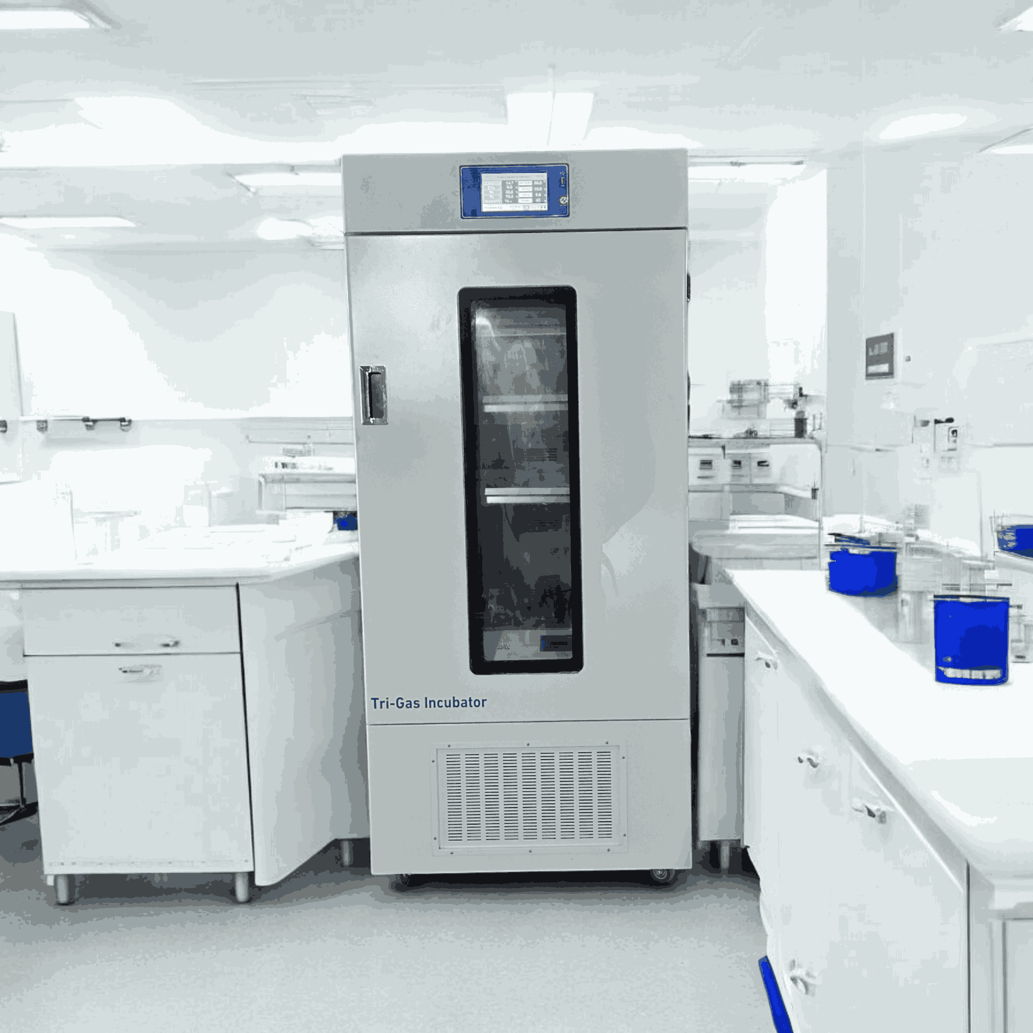 Tri-Gas Incubator